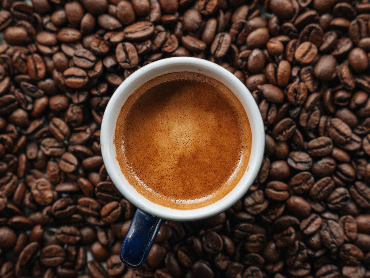 Premium French coffee beans from Terres de Café