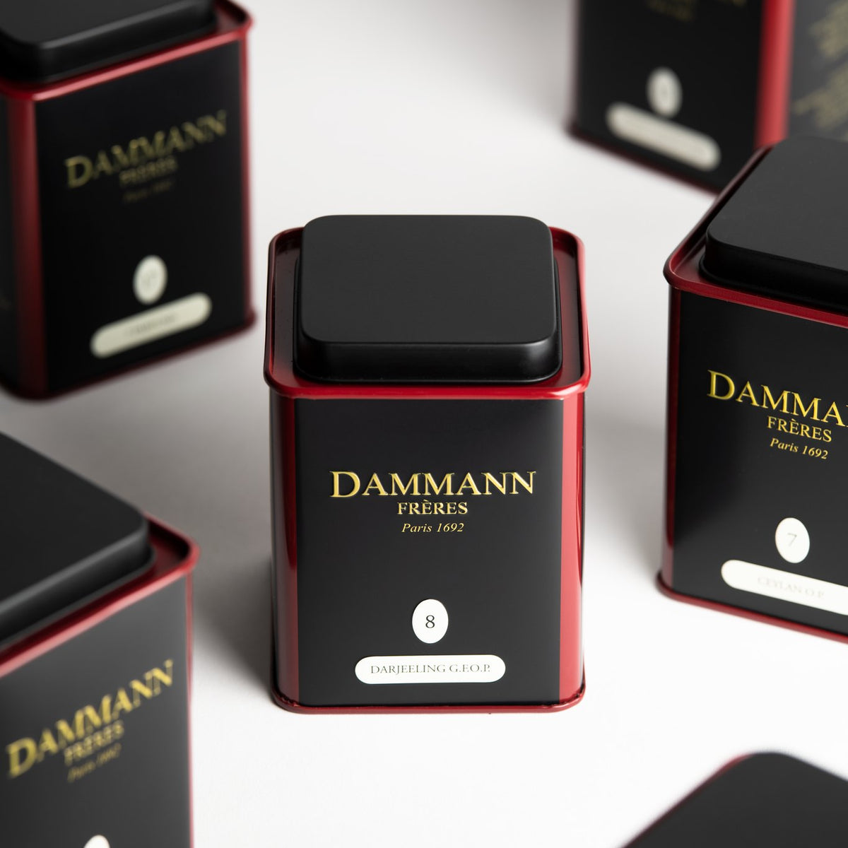 Boîte Darjeeling G.F.O.P. N°8 de Dammann Frères parmi des boîtes de thé noires et rouges