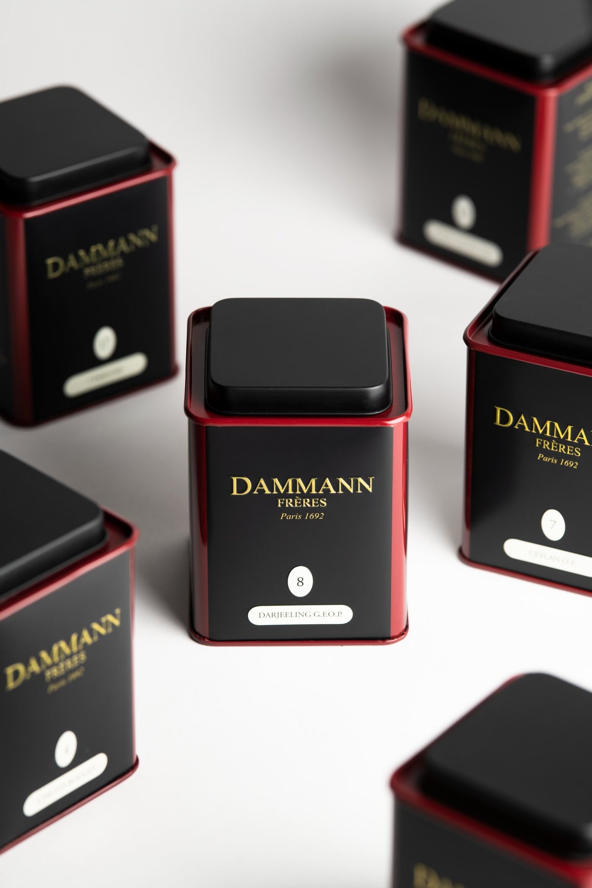 Boîte Darjeeling G.F.O.P. N°8 de Dammann Frères parmi des boîtes de thé noires et rouges