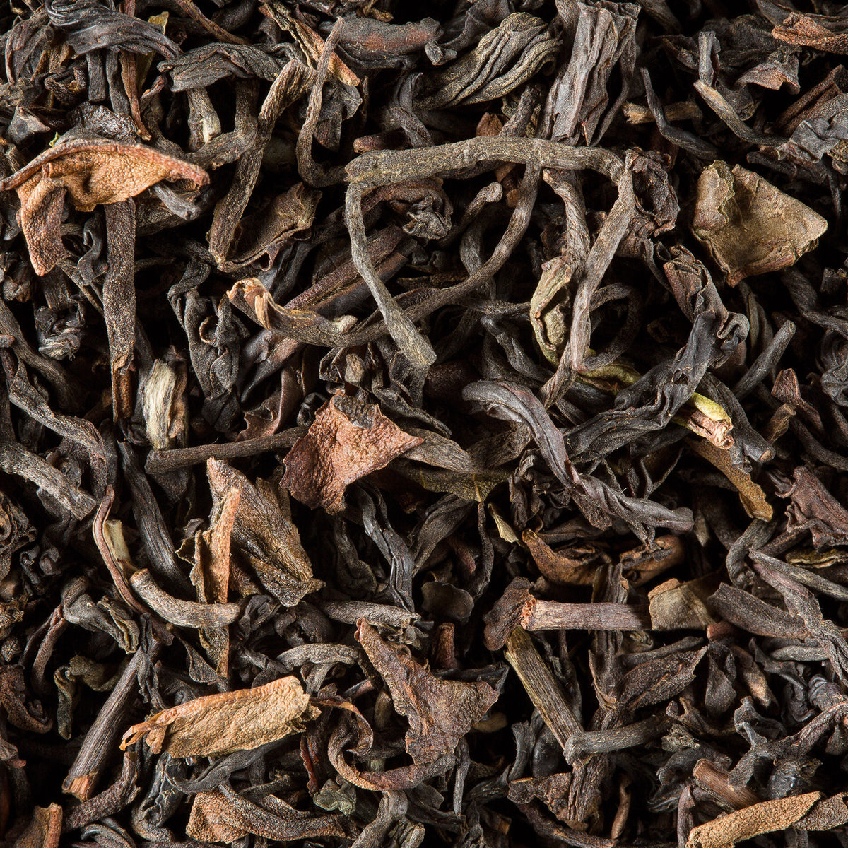 Gros plan sur le thé en vrac Darjeeling G.F.O.P. de Dammann Frères