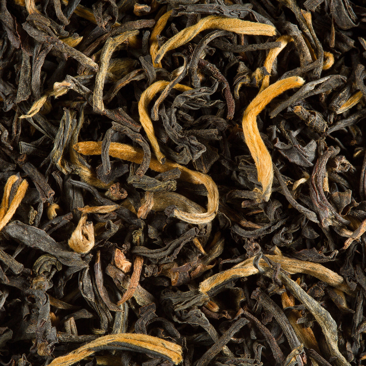 Gros plan sur le thé en vrac Earl Grey des Seigneurs de Dammann Frères