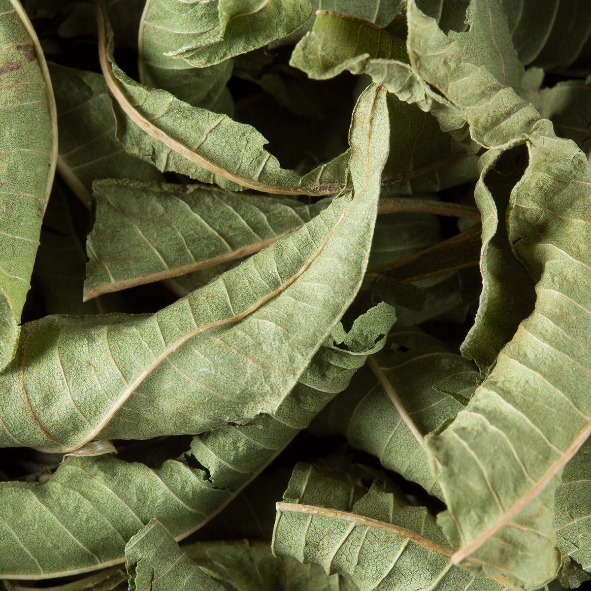 Gros plan sur l’infusion en vrac Verveine de Dammann Frères