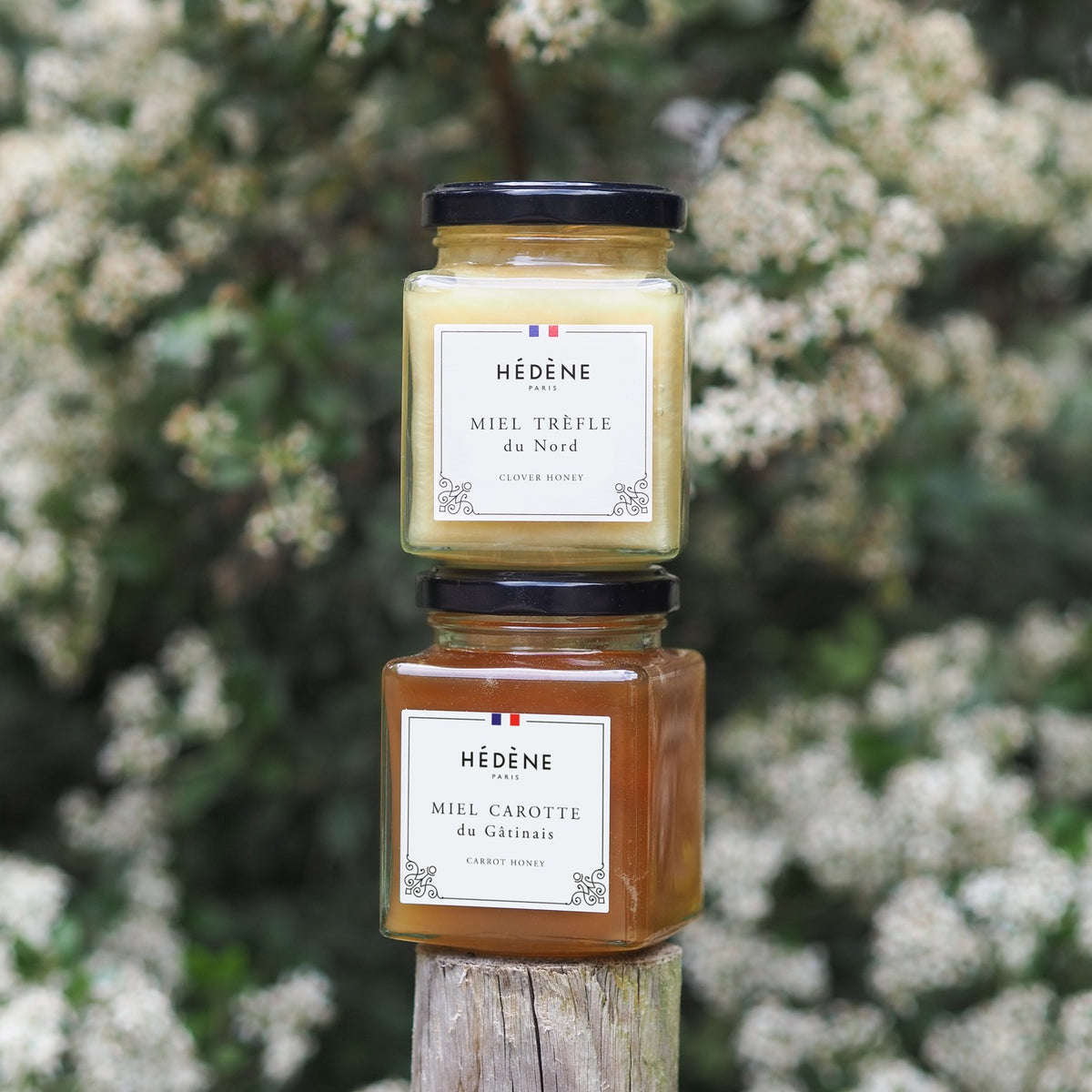 Clover Honey by Hédène stacked on a jar of carrot honey, outdoors against a flowering shrub