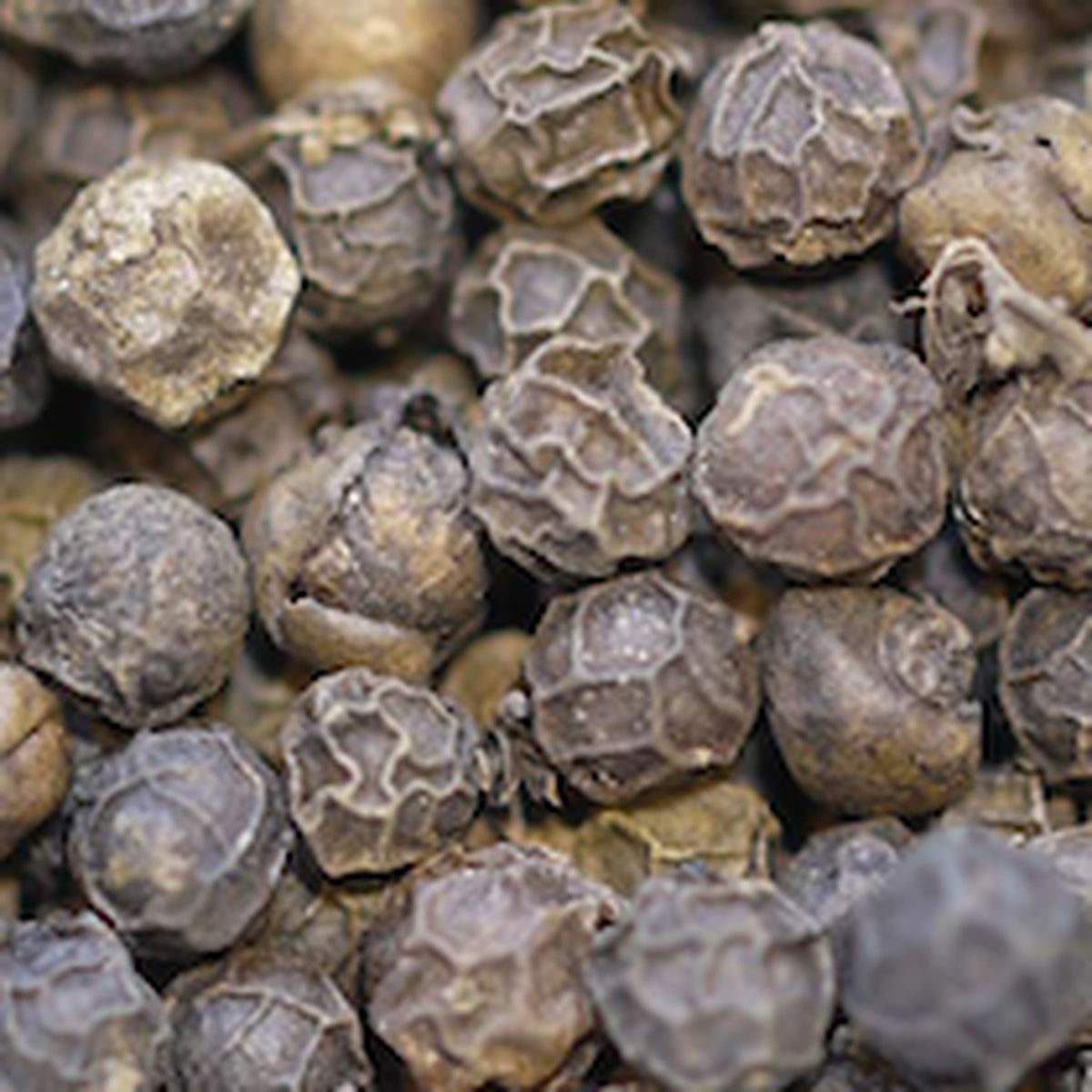 Close-up of Black Peppercorn Brazil by Place des Épices