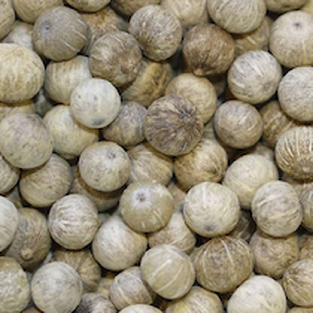 Close-up of White Peppercorn Sri Lanka by Place des Épices