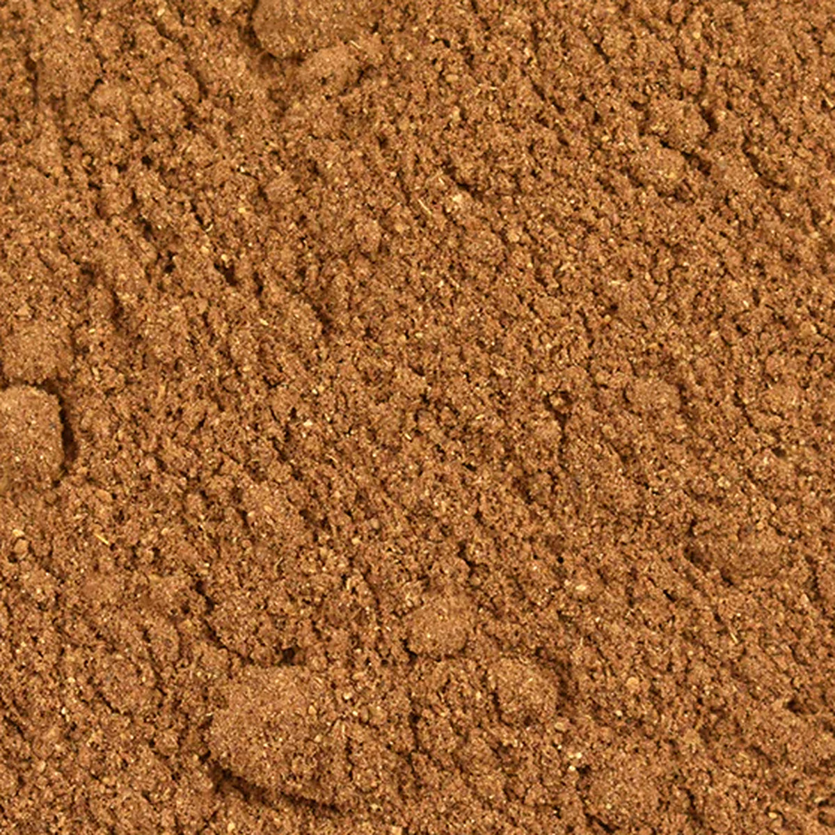 Close-up of Pumpkin Spices by Place des Épices